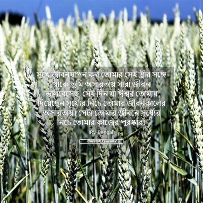 Picture 05 - উপদেশক 9:9 BENIRV - সুখে জীবনযাপন কর - Bible Verse Picture