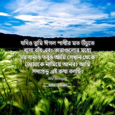 Picture 05 - ওবদিয়া 1:4 BENIRV - যদিও তুমি ঈগল - Bible Verse Picture
