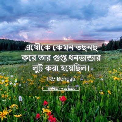 Picture 05 - ওবদিয়া 1:6 BENIRV - এষৌকে কেমন তছনছ - Bible Verse Picture