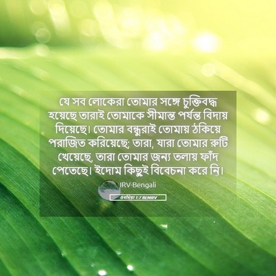 Picture 05 - ওবদিয়া 1:7 BENIRV - যে সব লোকেরা তোমার - Bible Verse Picture