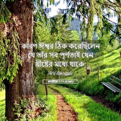 Picture 05 - কলচীয়া 1:19 BENIRV - কারণ ঈশ্বর ঠিক - Bible Verse Picture