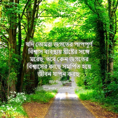 Picture 05 - কলচীয়া 2:20 BENIRV - যদি তোমরা জগতের - Bible Verse Picture