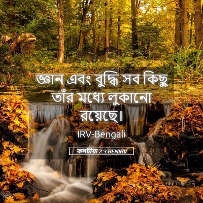Picture 05 - কলচীয়া 2:3 BENIRV - জ্ঞান এবং বুদ্ধি - Bible Verse Picture