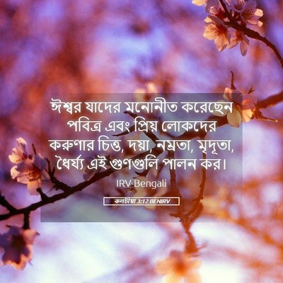 Picture 05 - কলচীয়া 3:12 BENIRV - ঈশ্বর যাদের - Bible Verse Picture
