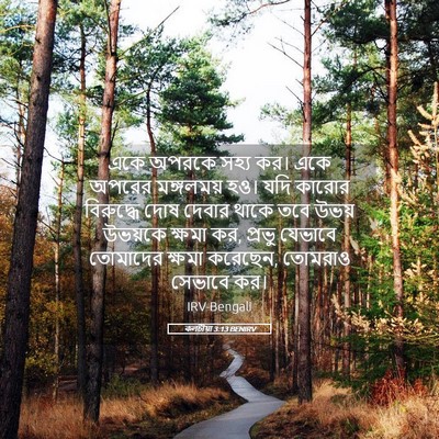 Picture 05 - কলচীয়া 3:13 BENIRV - একে অপরকে সহ্য কর। - Bible Verse Picture