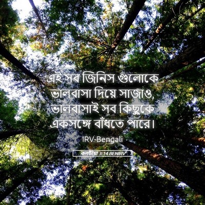 Picture 05 - কলচীয়া 3:14 BENIRV - এই সব জিনিস গুলোকে - Bible Verse Picture