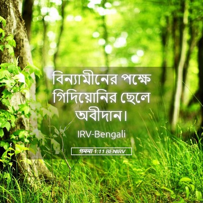 Picture 05 - গননা 1:11 BENIRV - বিন্যামীনের পক্ষে - Bible Verse Picture