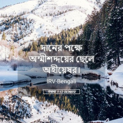 Picture 05 - গননা 1:12 BENIRV - দানের পক্ষে - Bible Verse Picture