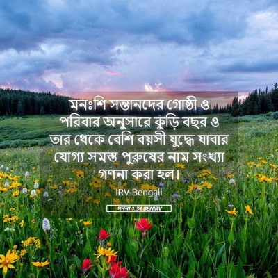 Picture 05 - গননা 1:34 BENIRV - মনঃশি সন্তানদের - Bible Verse Picture