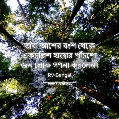 Picture 05 - গননা 1:41 BENIRV - তাঁরা আশের বংশ - Bible Verse Picture
