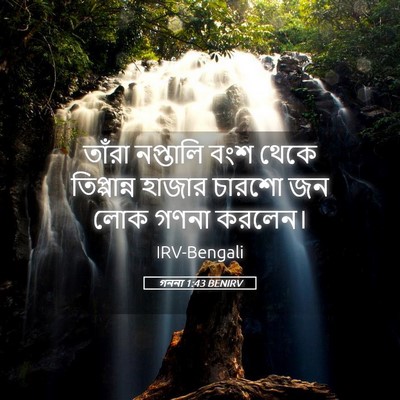 Picture 05 - গননা 1:43 BENIRV - তাঁরা নপ্তালি বংশ - Bible Verse Picture