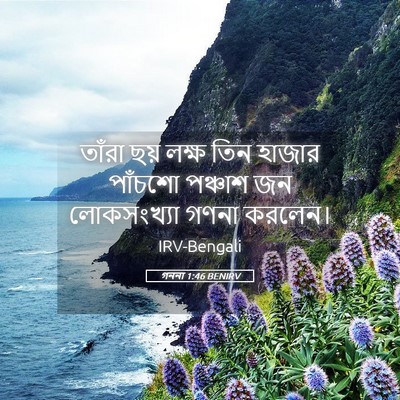 Picture 05 - গননা 1:46 BENIRV - তাঁরা ছয় লক্ষ তিন - Bible Verse Picture