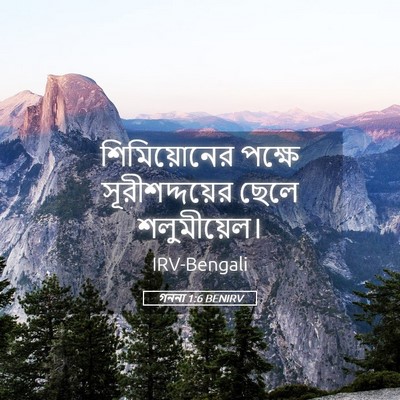 Picture 05 - গননা 1:6 BENIRV - শিমিয়োনের পক্ষে - Bible Verse Picture