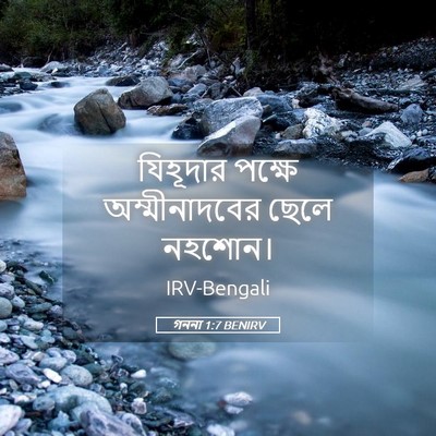Picture 05 - গননা 1:7 BENIRV - যিহূদার পক্ষে - Bible Verse Picture