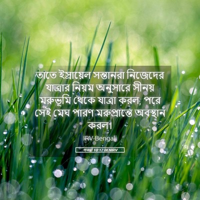 Picture 05 - গননা 10:12 BENIRV - তাতে ইস্রায়েল - Bible Verse Picture