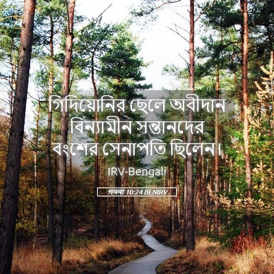 Picture 05 - গননা 10:24 BENIRV - গিদিয়োনির ছেলে - Bible Verse Picture