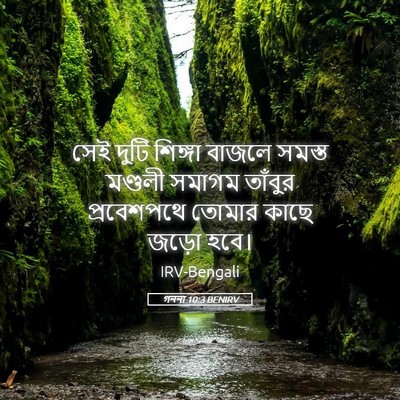 Picture 05 - গননা 10:3 BENIRV - সেই দুটি শিঙ্গা - Bible Verse Picture