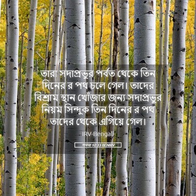 Picture 05 - গননা 10:33 BENIRV - তারা সদাপ্রভুর - Bible Verse Picture