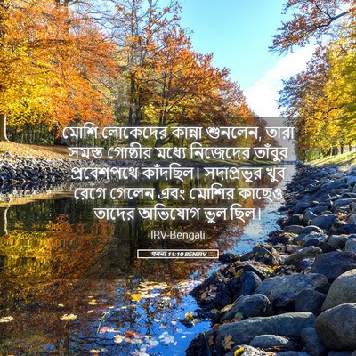 Picture 05 - গননা 11:10 BENIRV - মোশি লোকেদের - Bible Verse Picture