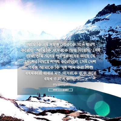 Picture 05 - গননা 11:12 BENIRV - আমি কি এই সমস্ত - Bible Verse Picture