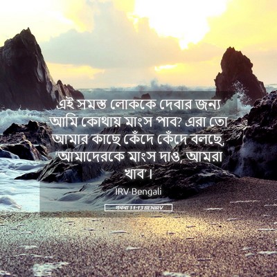 Picture 05 - গননা 11:13 BENIRV - এই সমস্ত লোককে - Bible Verse Picture