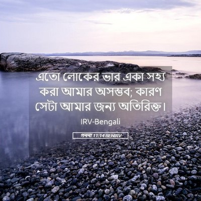 Picture 05 - গননা 11:14 BENIRV - এতো লোকের ভার একা - Bible Verse Picture