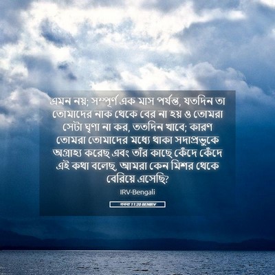 Picture 05 - গননা 11:20 BENIRV - এমন নয়; সম্পূর্ণ - Bible Verse Picture