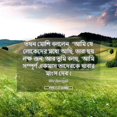 Picture 05 - গননা 11:21 BENIRV - তখন মোশি বললেন, - Bible Verse Picture
