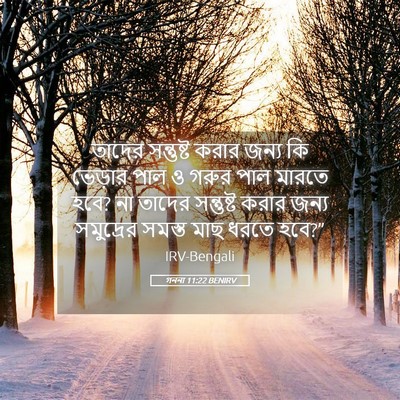 Picture 05 - গননা 11:22 BENIRV - তাদের সন্তুষ্ট - Bible Verse Picture