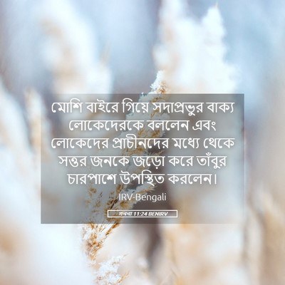 Picture 05 - গননা 11:24 BENIRV - মোশি বাইরে গিয়ে - Bible Verse Picture