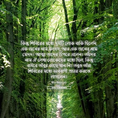 Picture 05 - গননা 11:26 BENIRV - কিন্তু শিবিরের - Bible Verse Picture