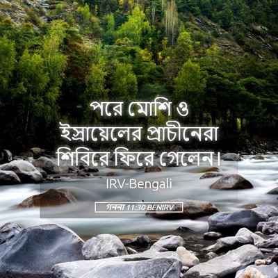 Picture 05 - গননা 11:30 BENIRV - পরে মোশি ও - Bible Verse Picture