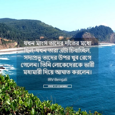 Picture 05 - গননা 11:33 BENIRV - যখন মাংস তাদের - Bible Verse Picture
