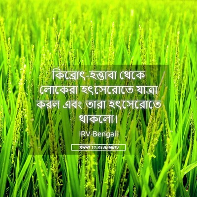 Picture 05 - গননা 11:35 BENIRV - কিব্রোৎ-হত্তাবা - Bible Verse Picture