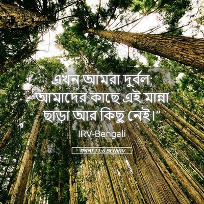 Picture 05 - গননা 11:6 BENIRV - এখন আমরা দুর্বল; - Bible Verse Picture