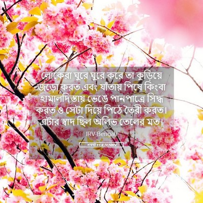 Picture 05 - গননা 11:8 BENIRV - লোকেরা ঘুরে ঘুরে - Bible Verse Picture