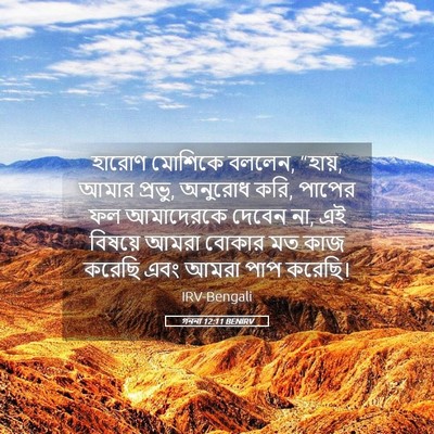 Picture 05 - গননা 12:11 BENIRV - হারোণ মোশিকে - Bible Verse Picture