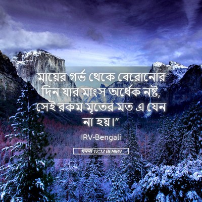 Picture 05 - গননা 12:12 BENIRV - মায়ের গর্ভ থেকে - Bible Verse Picture