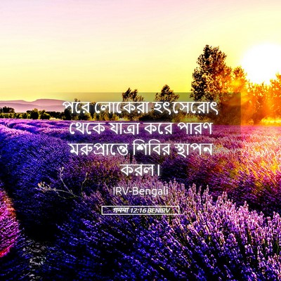Picture 05 - গননা 12:16 BENIRV - পরে লোকেরা - Bible Verse Picture