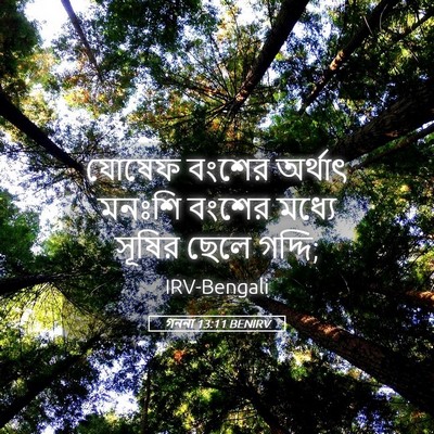 Picture 05 - গননা 13:11 BENIRV - যোষেফ বংশের - Bible Verse Picture