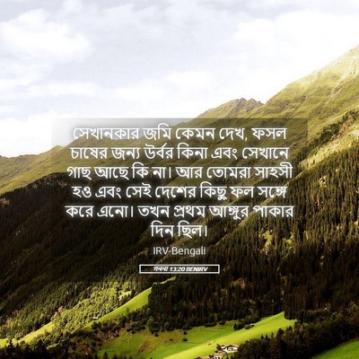 Picture 05 - গননা 13:20 BENIRV - সেখানকার জমি কেমন - Bible Verse Picture