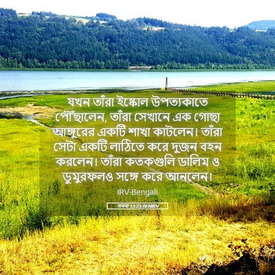 Picture 05 - গননা 13:23 BENIRV - যখন তাঁরা ইষ্কোল - Bible Verse Picture