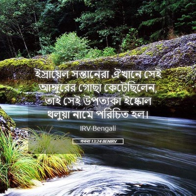 Picture 05 - গননা 13:24 BENIRV - ইস্রায়েল - Bible Verse Picture