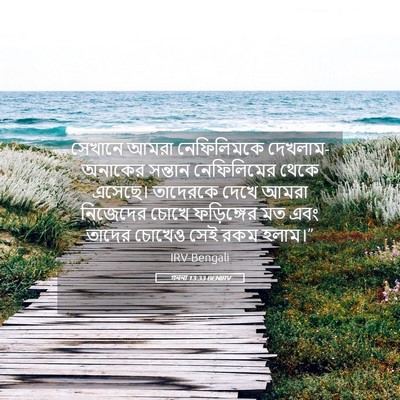 Picture 05 - গননা 13:33 BENIRV - সেখানে আমরা - Bible Verse Picture