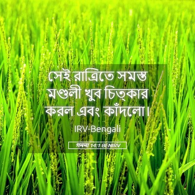 Picture 05 - গননা 14:1 BENIRV - সেই রাত্রিতে - Bible Verse Picture