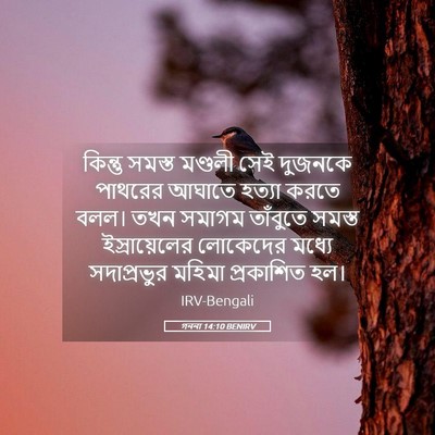 Picture 05 - গননা 14:10 BENIRV - কিন্তু সমস্ত - Bible Verse Picture