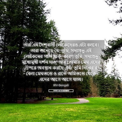 Picture 05 - গননা 14:14 BENIRV - তারা এই দেশবাসী - Bible Verse Picture