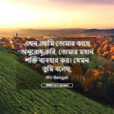 Picture 05 - গননা 14:17 BENIRV - এখন, আমি তোমার কাছে - Bible Verse Picture