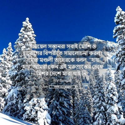 Picture 05 - গননা 14:2 BENIRV - ইস্রায়েল - Bible Verse Picture