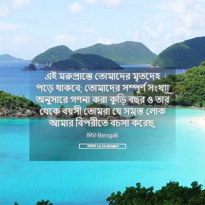 Picture 05 - গননা 14:29 BENIRV - এই মরুপ্রান্তে - Bible Verse Picture